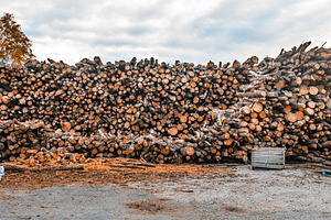Large Stack Of Timber Logs, an Industrial Photo by SkyNext