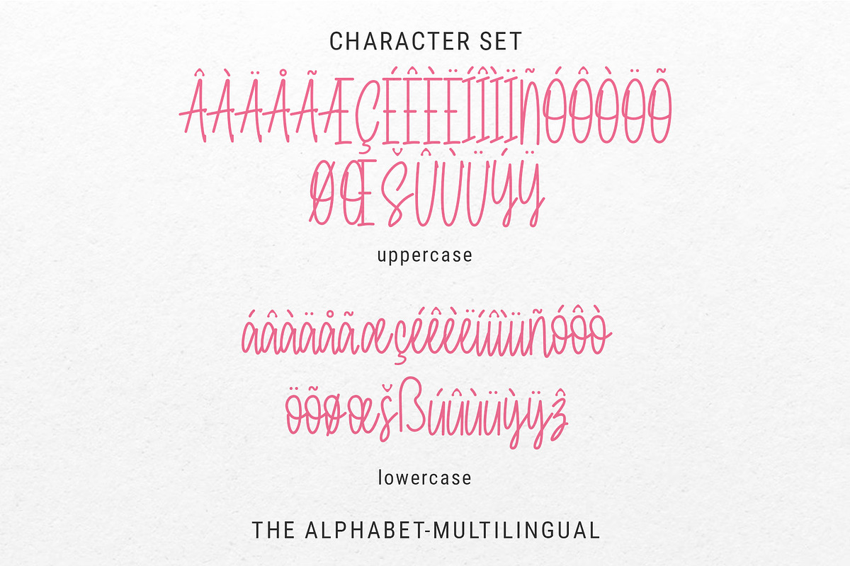 Sassy Soul - Script Sexy Handwritten, a Script Font by ariodsgn (Photo 3 of 7)