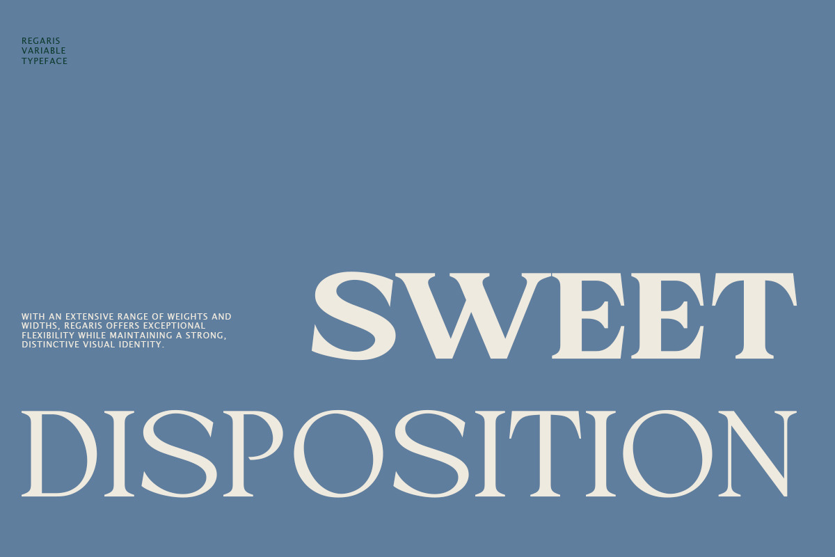 Cadera Serif | 162 Font Files, a Serif Font by Ws Studio (Photo 3 of 12)