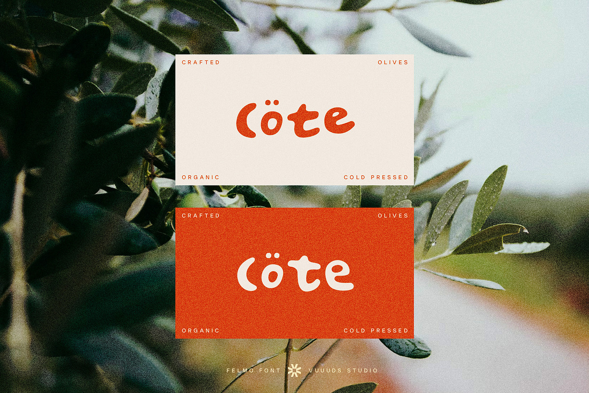Felmo, a Sans Serif Font by vuuuds (Photo 8 of 10)