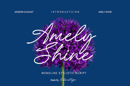 Amely Shine - Beautiful Script Font