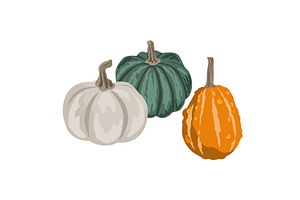 Pumpkins composition isolated on, an Object Illustration by Toltemara