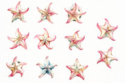 Whimsical Summer starfish clipart, an Illustration by Designworld (Thumbnail 4 of 8)