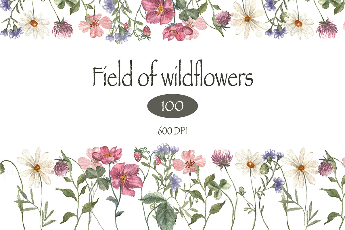 Field of wildflowers, an Object Illustration by ViolettaKh (Photo 1 of 12)