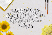 Molino Script, a Script Font by dimindie (Thumbnail 2 of 3)