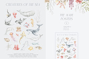 Ocean Animals. Underwater watercolor, an Animal Illustration by Kreker Kate (Thumbnail 8 of 10)