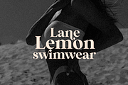 Wild Mango | Modern Serif Font, a Serif Font by KA Designs (Thumbnail 14 of 24)