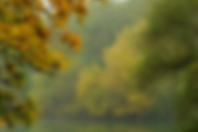 50 Blurred landscapes, a Texture Graphic by MARTINI Type Designer (Thumbnail 4 of 4)