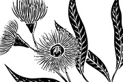 Eucalyptus Leaves & Blossom, an Animal Illustration by Electric Ink (Thumbnail 3 of 3)