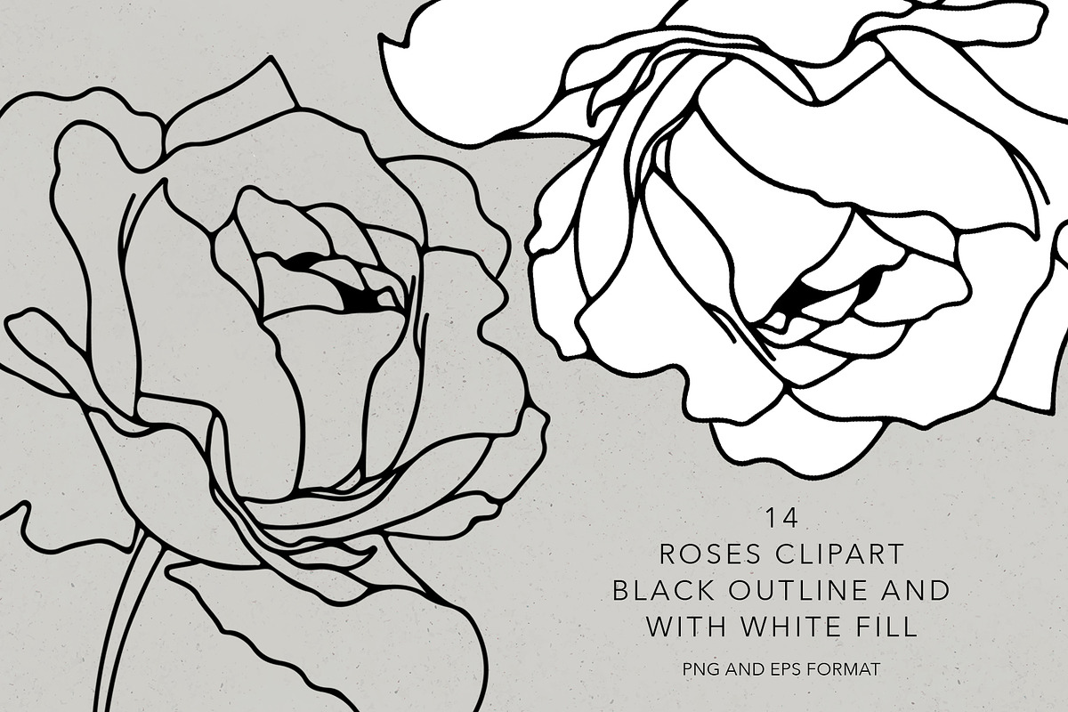 Roses line art design, an Object Graphic by Vera●Suleimanova (Photo 5 of 17)