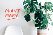 Plant Mama - Fun Handwritten Font, a Sans Serif Font by Wolff Design Co. (Thumbnail 7 of 7)