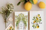 Mediterranean Citrus Garden clipart, a Decorative Illustration by Pamyatka Shop (Thumbnail 4 of 14)