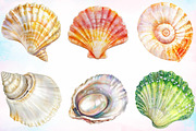 Watercolor Summer Seashells Clipart, a Seasonal Illustration by Canvas Craft (Thumbnail 3 of 3)