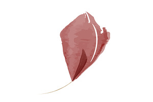 Single watercolor leaf in reddish, an Object Illustration by okskukuruza