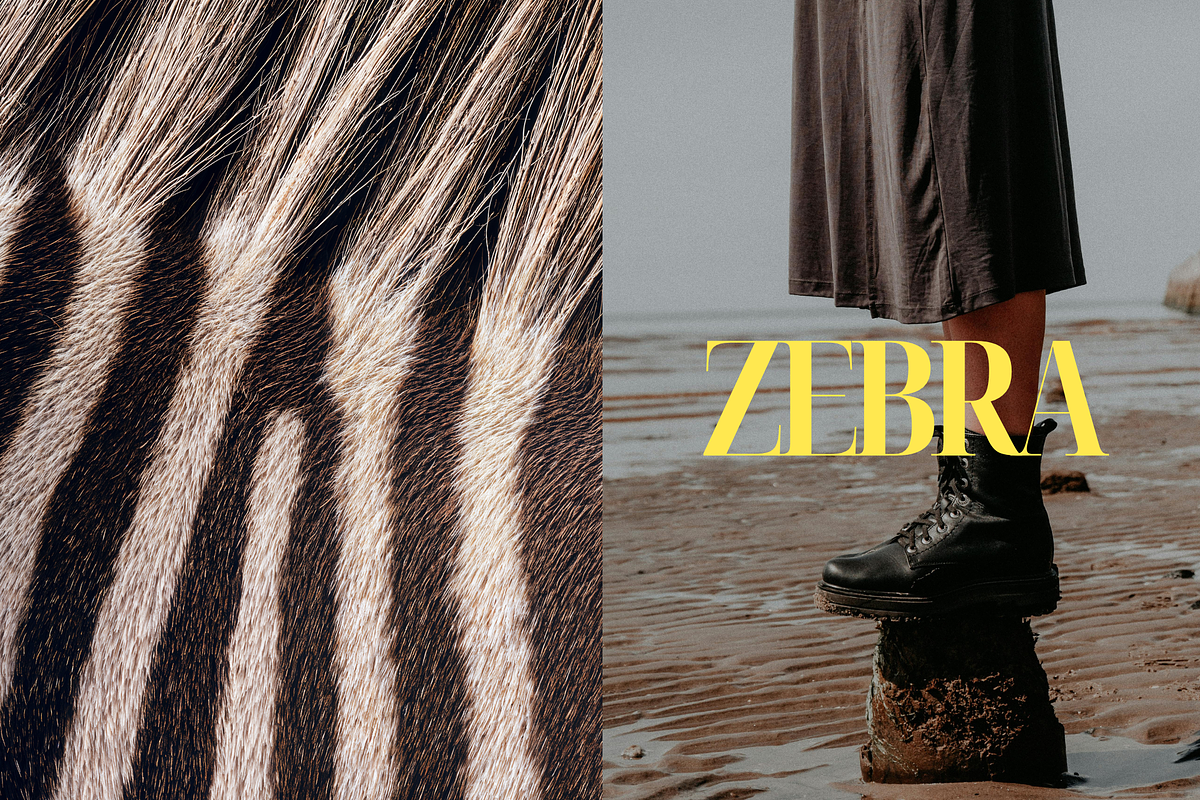 FURther: The Ultimate Fur Collection, a Background Graphic by Anastasiia VNSK (Photo 3 of 12)