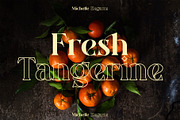 Michelle Elegante, a Serif Font by INKSUN™ (Thumbnail 6 of 10)