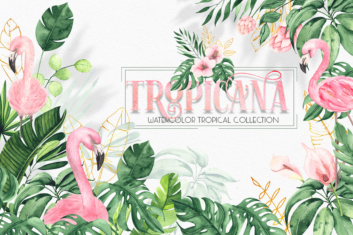 Watercolor tropical collection, an Object Graphic by Ana-Sakuta (Photo 1 of 16)