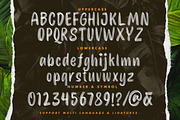 Festine - SVG Font, a Font by Letterhend Studio (Thumbnail 8 of 9)