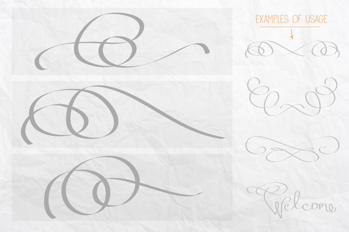 Vector Flourishes, a Decorative Illustration by Little Pixel Shop (Photo 2 of 5)