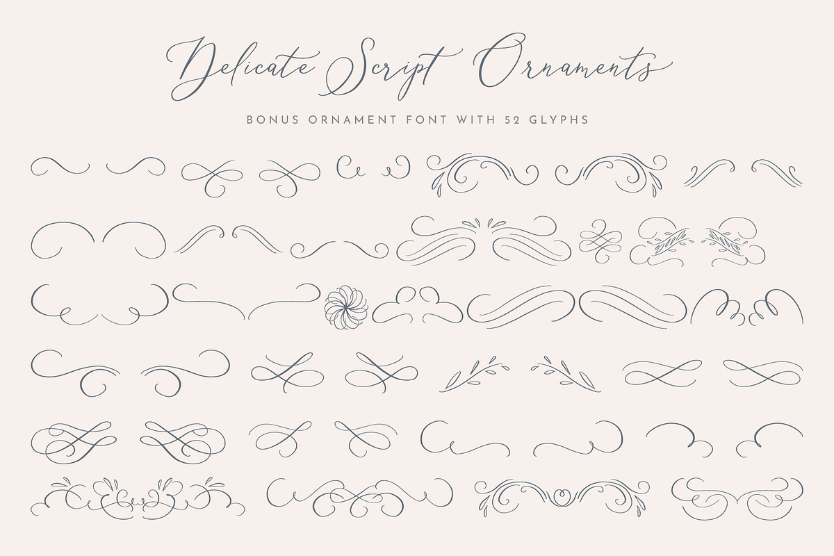 Delicate Elegant Script & Ornaments, a Script Font by Mila Garret (Photo 11 of 11)