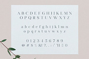Milgalita – Modern Elegant Serif, a Serif Font by BrandSemut (Thumbnail 8 of 8)