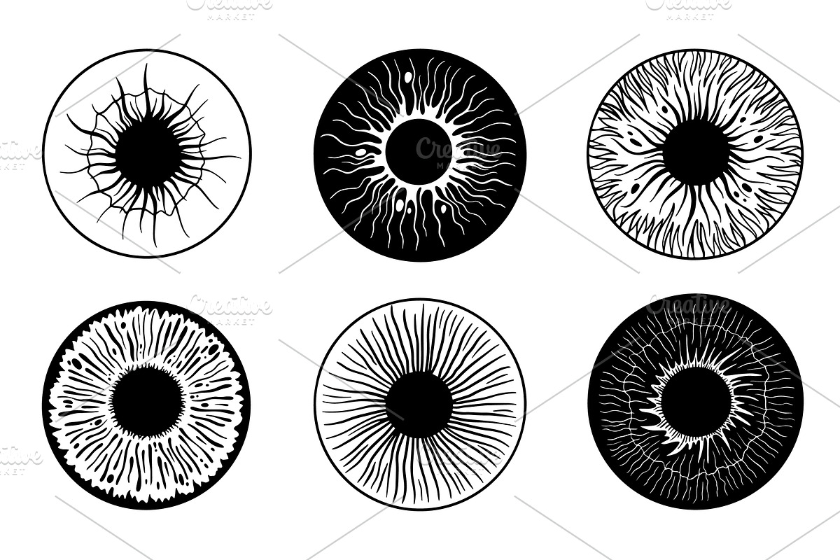 Human eye structure. Iris anatomical, an Object Illustration by Valerie Bodnar