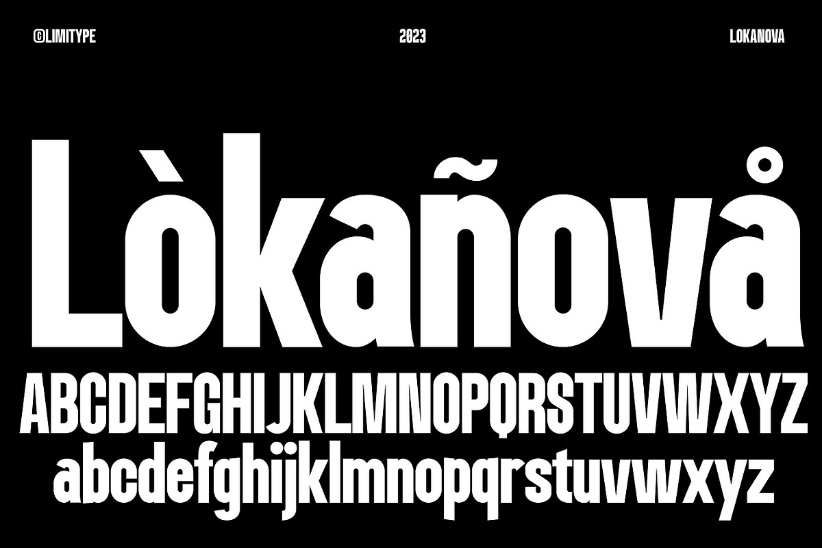 Lokanova - Modern Bold Font, a Sans Serif Font by limitype (Photo 7 of 17)