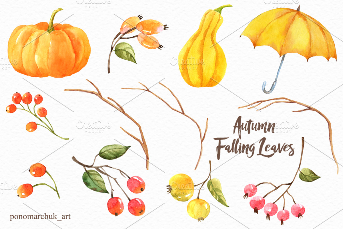 Autumn falling leaves, an Animal Illustration by Colibri Watercolor (Photo 5 of 10)