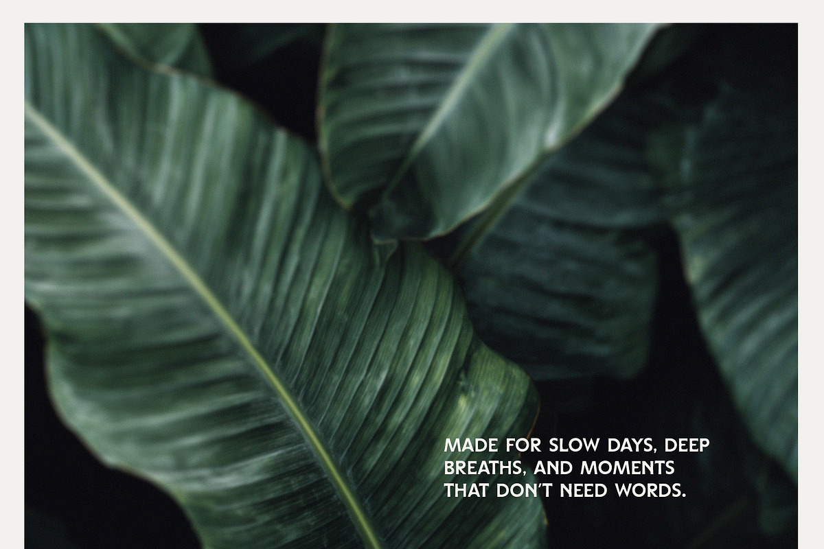 Abstract Blurry Botanical Bundle, a Background Graphic by Lana Elanor (Photo 14 of 20)