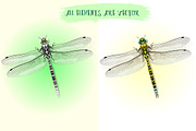 Dragonfly inspiration, an Object Graphic by Indie Khisa (Thumbnail 2 of 7)