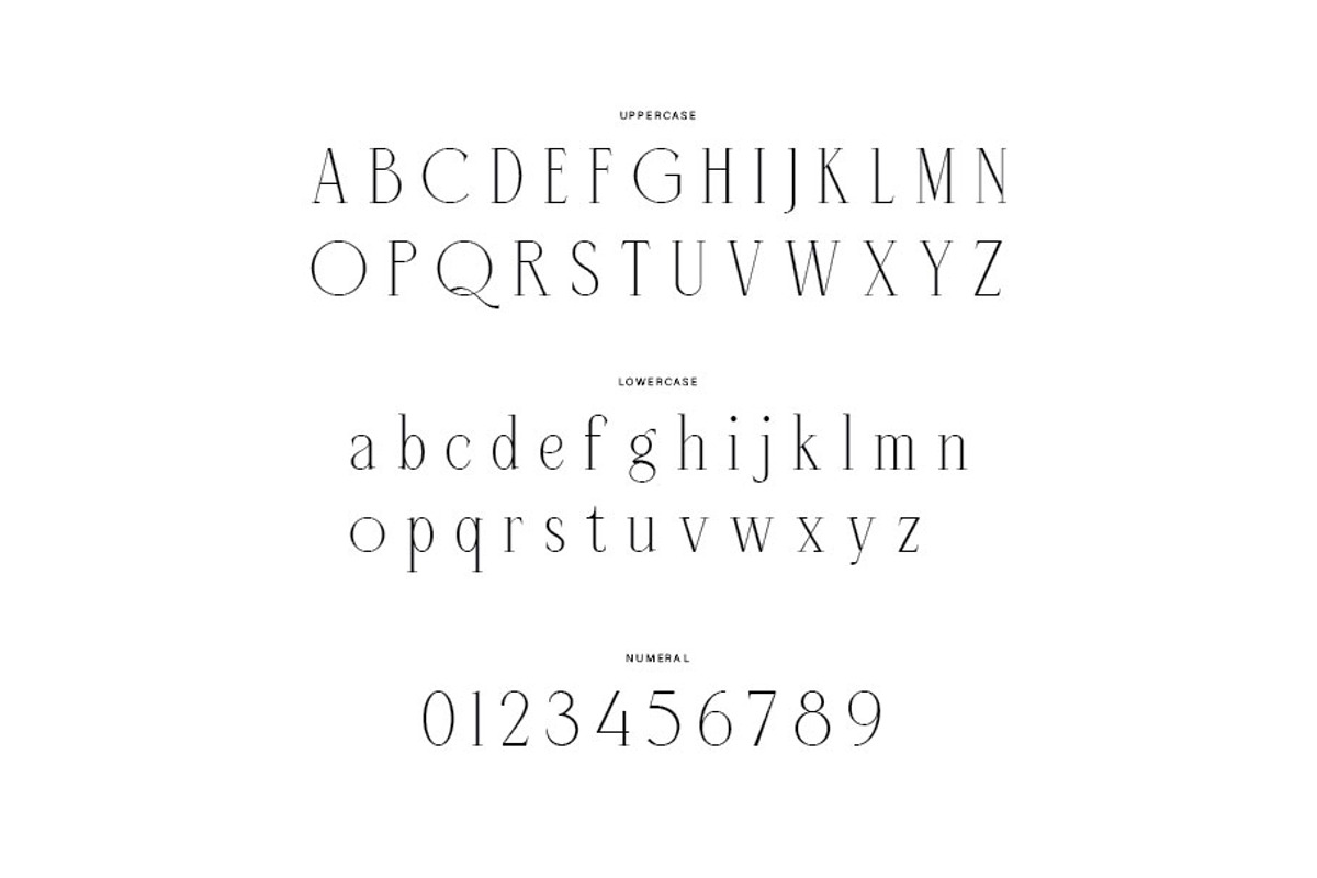 Listian, a Serif Font by rmdndsign (Photo 7 of 9)