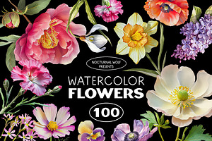 100 Floral Watercolor Illustrations
