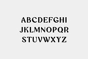Waveruder Retro Display Font, a Serif Font by UICreative (Thumbnail 3 of 13)