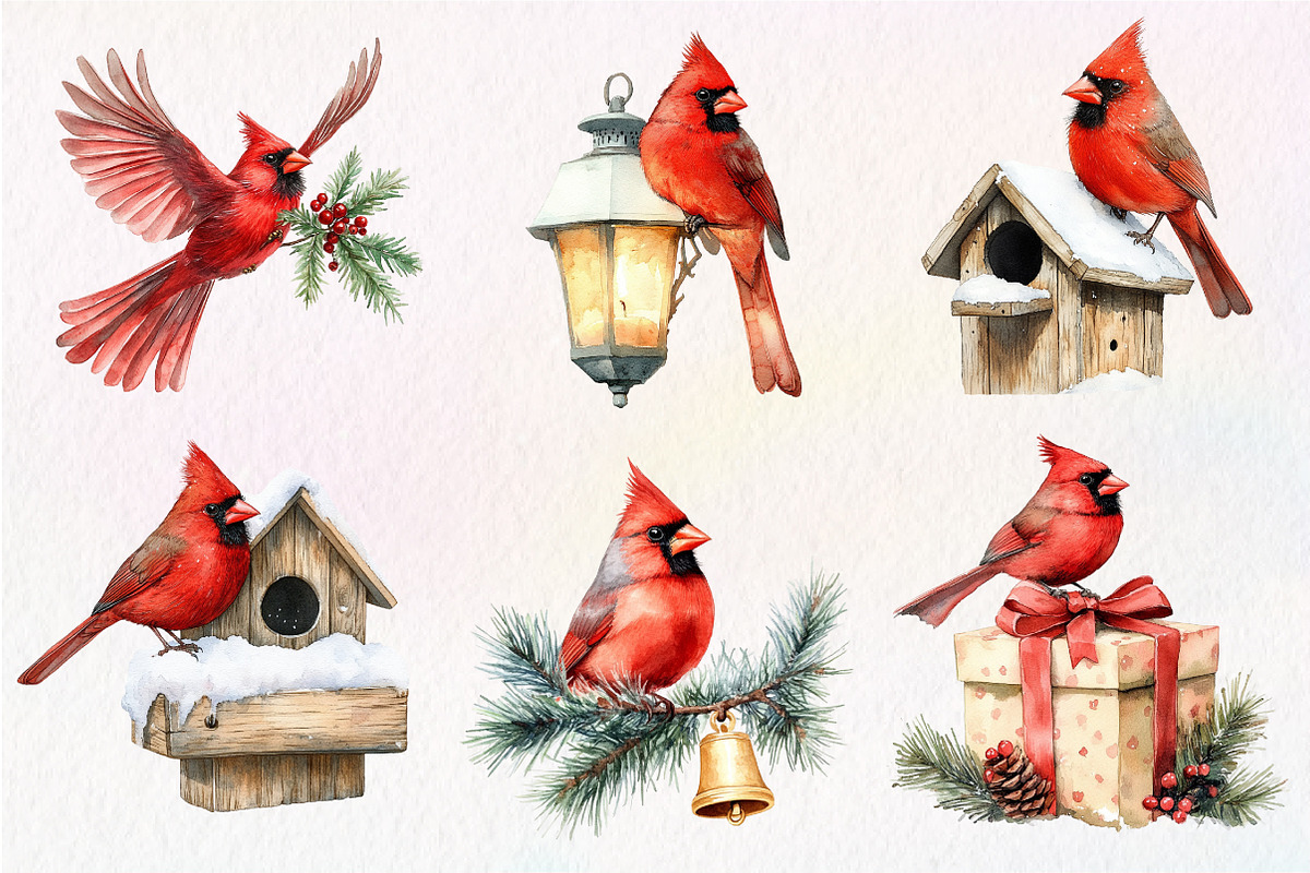 Red Cardinals Christmas Sublimation, an Illustration by Dream Creation (Photo 6 of 7)
