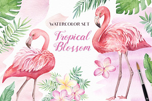 SALE!Tropical Blossom Watercolor Set