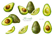 Avocado Watercolor Collection., a Decorative Illustration by VetaDesign (Thumbnail 2 of 8)
