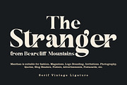 Manthan - Ligature Spesial, a Serif Font by IRF Lab Studio (Thumbnail 6 of 9)