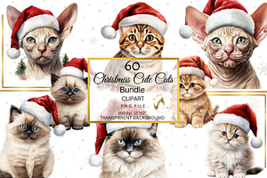 Cute Christmas Cats PNG Bundle