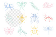 Hand Drawn Insects and Bugs Clipart, an Illustration by Dream Creation (Thumbnail 3 of 5)