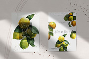 Watercolor Juicy Hand-Painted Lemons, an Object Graphic by Artcard Watercolor (Thumbnail 8 of 9)