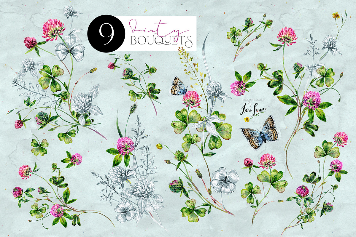 SUMMER CLOVER Watercolor Wildflowers, an Illustration by Inna Sinano (Photo 5 of 17)
