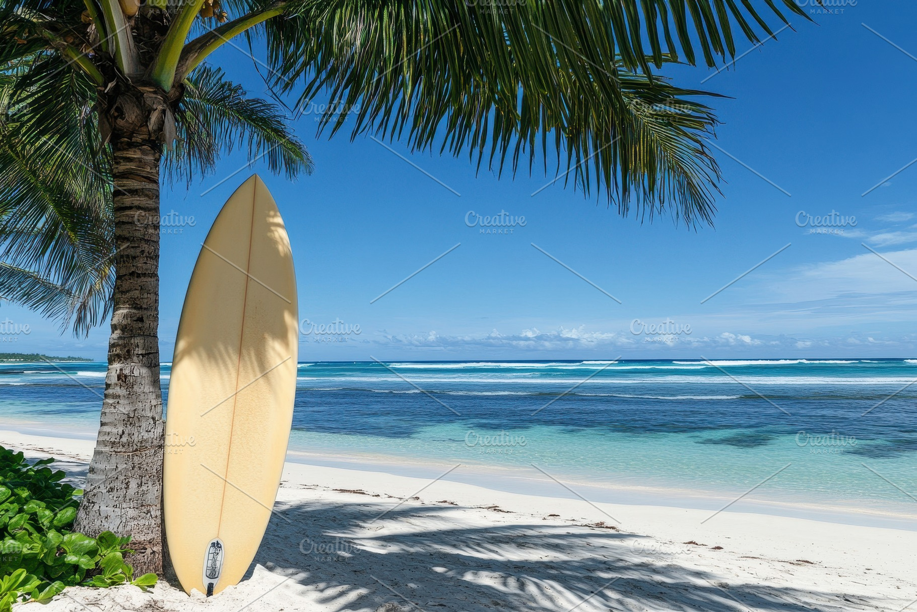 Surfboard resting on palm tree at a, a Photo by Iftikhar Alam