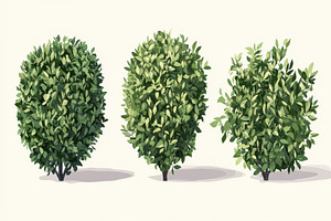 Bush set features three distinct, a Photo by Pavel_design