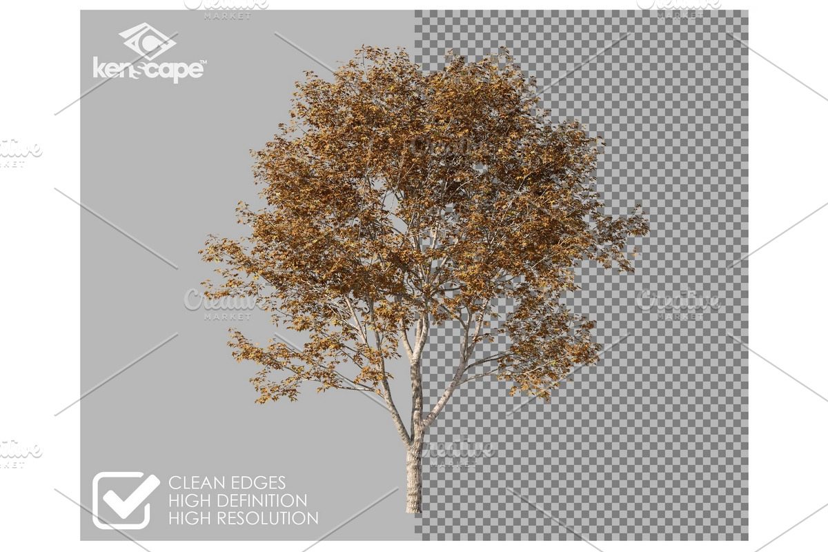 72 Autumn Trees Photo Overlays, a Nature Photo by KenScape (Photo 2 of 3)
