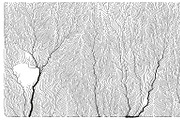 Growth - 50 Backgrounds, a Texture Graphic by GarryKillian (Thumbnail 39 of 51)
