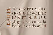 Gekarlo - Modern Stylish Fancy, a Serif Font by Qweera Studio (Thumbnail 10 of 12)