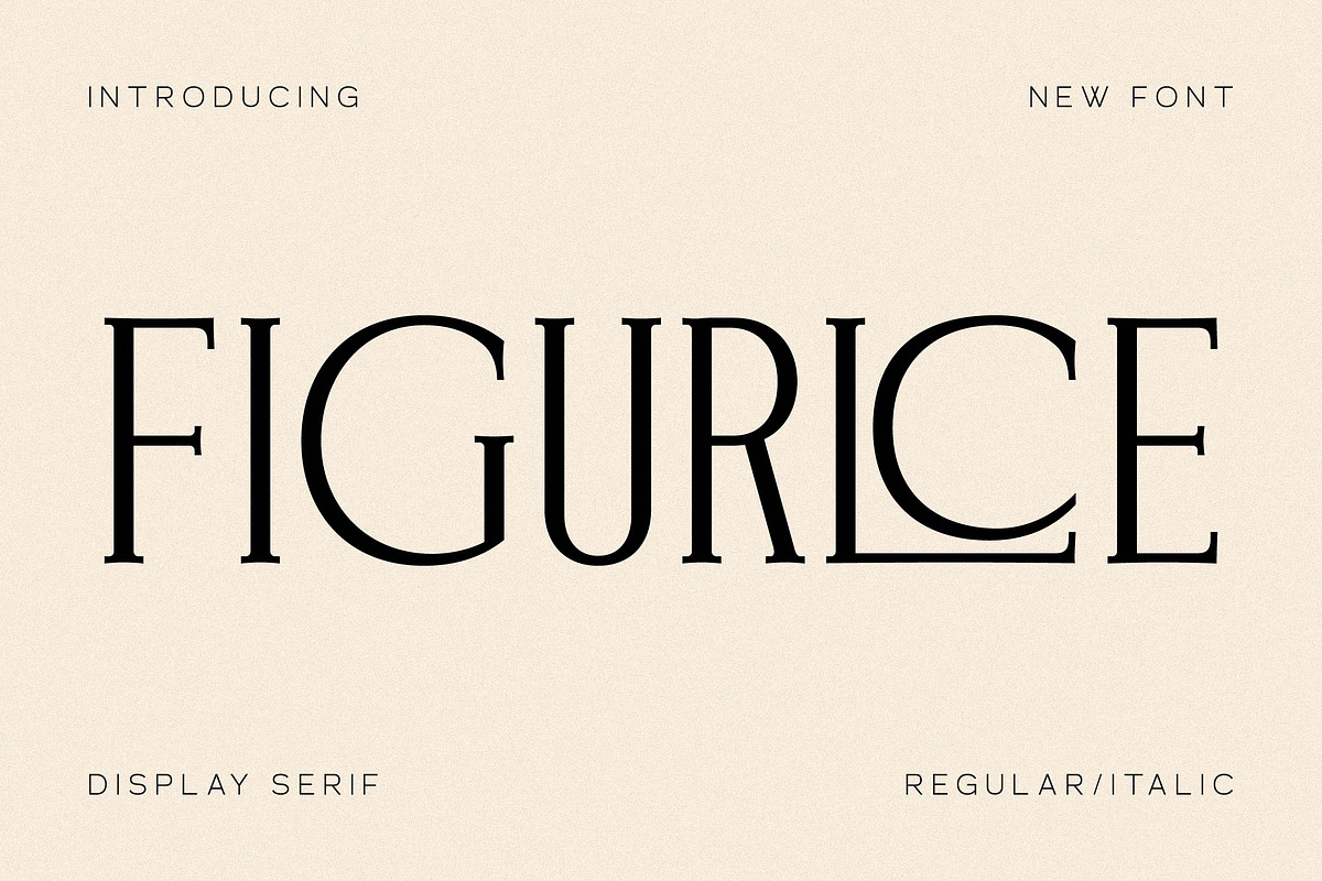 Figurlce A Display Serif Font, a Serif Font by Storytype Studio (Photo 1 of 15)