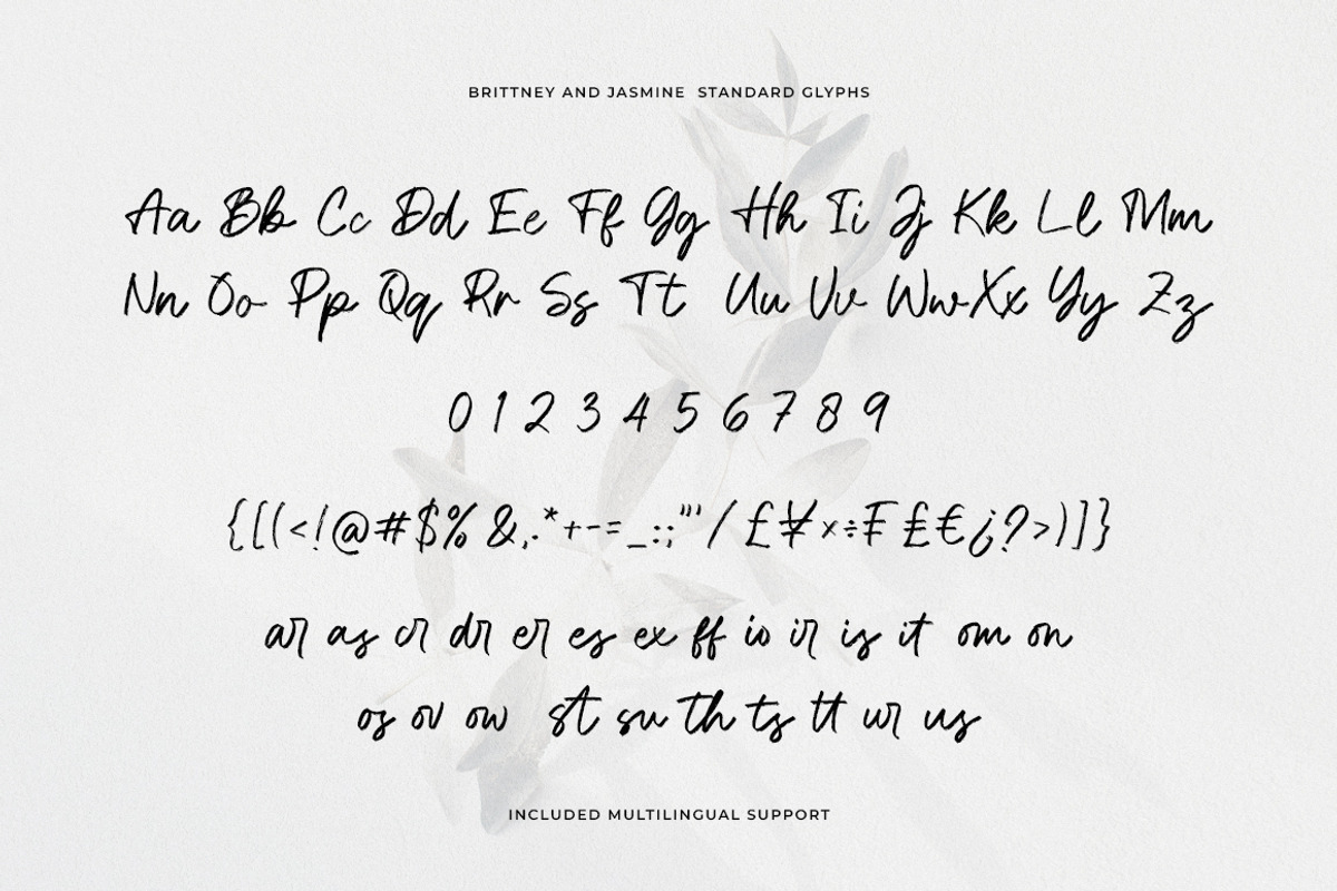 Brittney & Jasmine Brush Script Font, a Script Font by Heinzel Std (Photo 9 of 13)