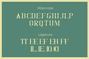 Gecord, a Serif Font by Rishsketch (Thumbnail 10 of 13)