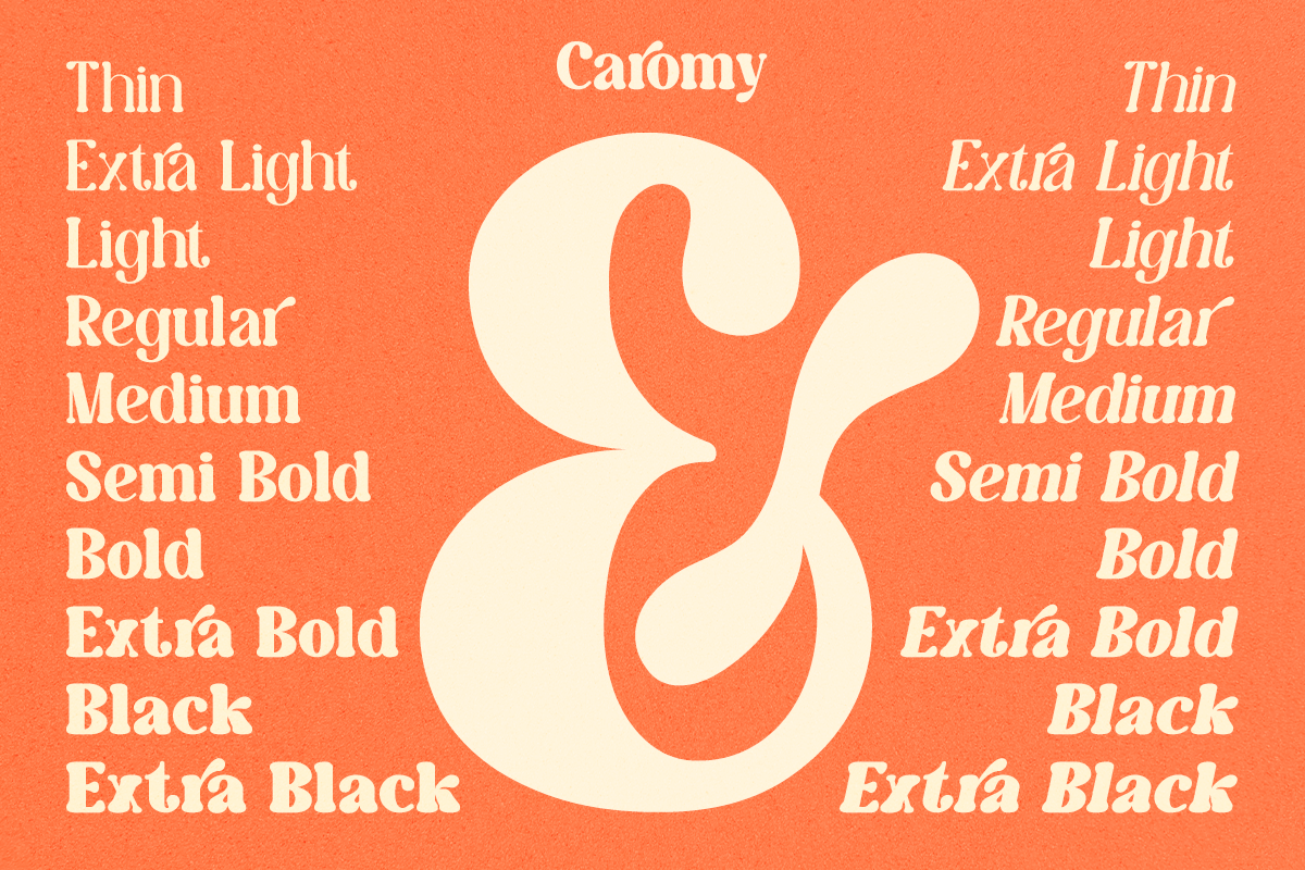 Caromy - Retro Variable Font, a Serif Font by Font Liner (Photo 8 of 11)